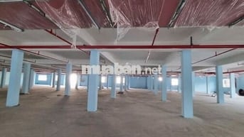 Cho thuê kho xưởng KCN Hải Sơn,Tân Đô , Tân Đức, Long An, PCCC tự động