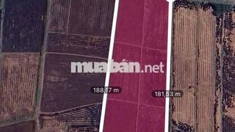 Chỉ 3tr/m2 xã xuân thơi sơn Hóc môn ,11,000m2 ,Pháp lý đầy đủ