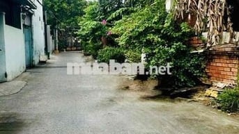 ♻️BÁN NHÀ HẺM ĐƯỜNG 25 – HIỆP BÌNH CHÁNH chỉ 7.T.ỷ .x.x