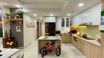 Chung cư Ruby Garden, Nguyễn Sỹ Sách, TB, 86m2, 2PN, 2WC, 9tr5/th.