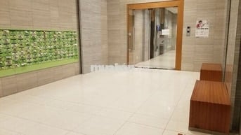 Căn hộ cao cấp An Gia star 51m2  2 PN cho thuê