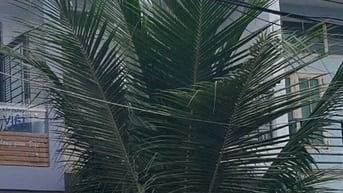 Bán nhà Mặt tiền Thạnh Xuân 43, DT 4x21, 3 Tầng, Giá 6ty3 thương lượng