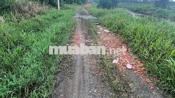 Bán đất Đường An Tây 071, trong khu Tái định cư Phú An , TPHCM