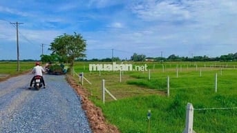 Bán đất 530m² giá 900 triệu đường Tỉnh Lộ 7 – gần Chợ Thái Mỹ & UBND