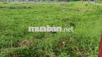 Siêu Phẩm Gốc 2 Mặt Tiền Đường Nhựa Bùi Văn Sự