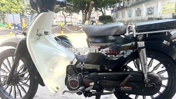 Honda Cub 50 2019 Đen Trắng