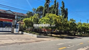 Bán Đất Có Trồng Cây Ăn Trái Sẵn