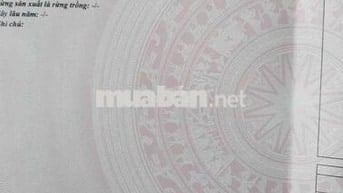 đất vườn tại thanh bình trảng bom