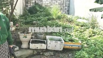 Bán Lô Đât 68m2 Sổ Riêng Ở Phường Tân Đông Hiệp - Dĩ An