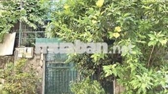 🔥 HẺM Ô TÔ 6M Nguyễn Cửu Vân CHỈ NHỈNH 150 TRIỆU/M2