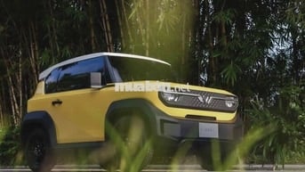 VF3 - TẶNG 2 NĂM BH, MIỄN PHÍ MÀU NÂNG CAO HẾT T11