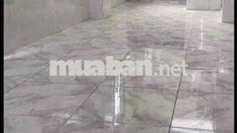 Phòng Trọ Cách Mạng Tháng 8, Tân Bình