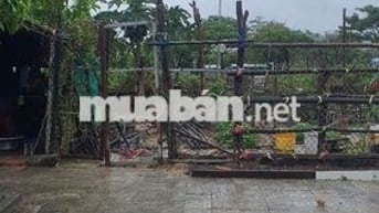 Không Còn Lô Nào Rẻ Hơn Nữa , Hướng Đn , Sạch Đẹp