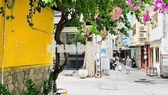 Nguyên căn 35m2 HXH TRẦN HƯNG ĐẠO GIÁP Q1