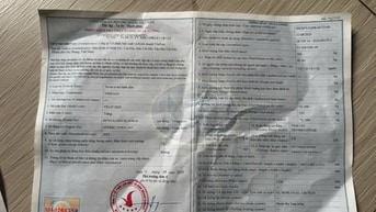 Tìm giấy tờ xe máy điện Vinfast