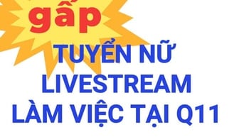 Gấp Gấp TUYỂN NỮ LIVE TREAM lương 6-8tr + hoa hồng