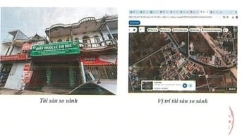 TBĐG thửa đất 237, tờ BĐ 11, tại Tiền Phong, xã Xuân Trường, Ninh Bình