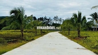 Cần bán lô đất 500m² sổ riêng sát trung tâm