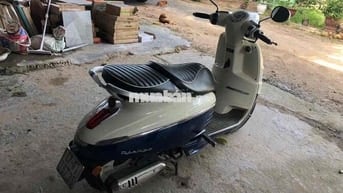 PEUGEOT DJANGO Trắng Xanh 5082 km