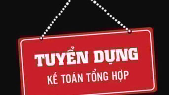 CTY XNK DATIKO VN tuyển kế toán tổng hợp làm ở Bình Thạnh