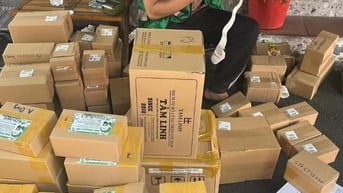 Tuyển nhân viên trực tiếp tại TP HCM 