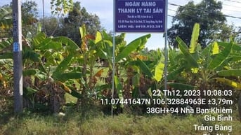Công ty Đấu giá hợp danh Lam Sơn Sài Gòn THÔNG BÁO ĐẤU GIÁ TÀI SẢN