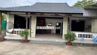 Cho Thuê Biệt Thự vườn 500M Chánh Nghĩa - TDM  Bình Dương