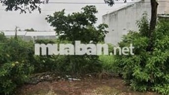 Đất Rẻ Bán Gần Bệnh Viện 512 Bình Dương Sổ Sẵn 120m2 Cho Thuê Xưởng