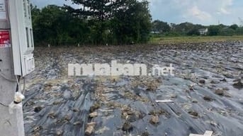 202m2 thổ cư ,đất đô thị gần KCN Gia Thuận, 490,8tr ,bao sang tên ,oto