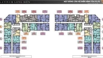 🔥 CẦN BÁN NHANH CĂN NGOẠI GIAO DỰ ÁN PLATINUM LONG BIÊN - GIÁ ƯU ĐÃI 