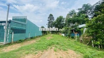 SIÊU PHẨM ĐẤT MẶT TIỀN CÂY TRÔM MỸ KHÁNH CHỈ 6TR/M2 - SHR