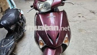 Honda Lead Trắng