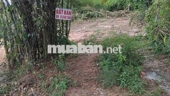 CẦN BÁN LÔ ĐẤT VỊ TRÍ ĐẸP  TẠI Xã Thái Mỹ,huyện Củ Chi,TP. Hồ Chí Minh