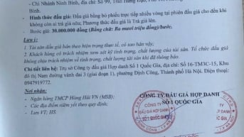 CÔNG TY ĐẤU GIÁ HỢP DANH SỐ 1 QUỐC GIA BÁN ĐẤU GÍA TS NHO QUAN - NB