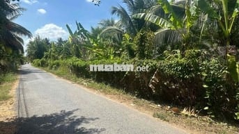 Cần bán thửa đất mặt tiền lộ nhựa cách KCN Giao Long 1km