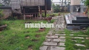 Cho thuê mặt bằng kinh danh,ở gđ apđ Quận 12