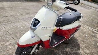 Peugeot Django 125cc Xe Nhập Zin bstp chính chủ