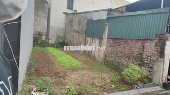 ĐẤT ĐẸP ĐẠI MẠCH ĐÓN SÓNG ĐẦU TƯ CẦU THƯỢNG CÁT