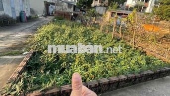 ĐẤT XUÂN BÁCH – XÃ NỘI BÀI (Quang Tiến cũ)  Diện tích: 63.6m 👉 Mặt