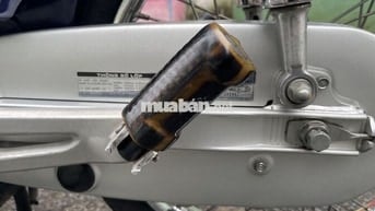 Honda Super Dream 2006 Limited Edition Xanh