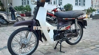 Xe dream Hàn Quốc