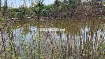 Bán Đất Nông Nghiệp + Gần Đường 4B, Đa Phước, Bình Chánh, TP. HCM