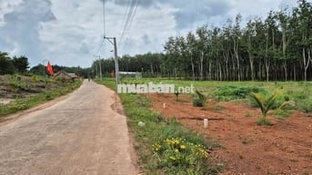 Bán Gấp Lô Đất Mặt Tiền Đường Đất DH519