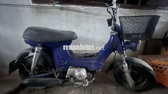 Honda Charly 50cc màu Xanh