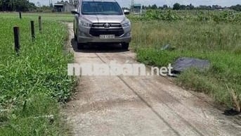 🌿🌿 GIẢM GIÁ SÂU 395 TRIỆU – THỔ CƯ GIÁ RẺ LẠC TẤN, TÂN TRỤ – LONG AN 📍