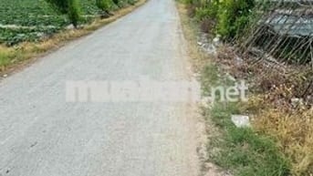 Xây Biệt Thự Sân Vườn – 8x35m Full Thổ, Gần Chợ!