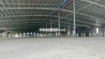Xưởng mới 100% – Quy mô 50.000m² KCN LONG AN (TÂY NINH MỚI)