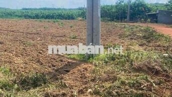 Đất Vườn Xã Phước Thành ,TP HCM 1174m2 giá chỉ 800tr