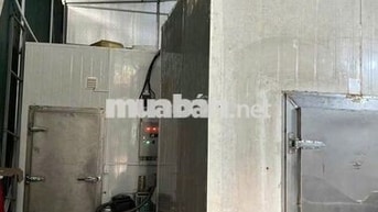 Kho lạnh cho thuê chỉ cần vào làm
