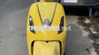 Attila Elizabeth 2009